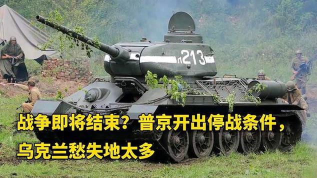 俄罗斯总统普京：5月8日零时至11日零时实施停火