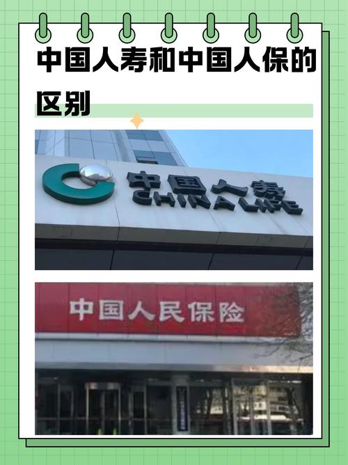 中国人保：一季度实现保险服务收入1361.11亿元，同比增长7.9%